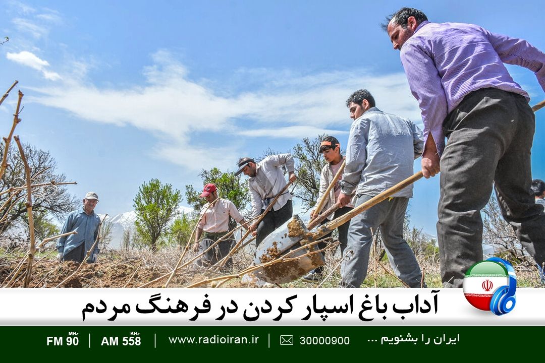 آداب باغ اسپاركردن در فرهنگ مردم