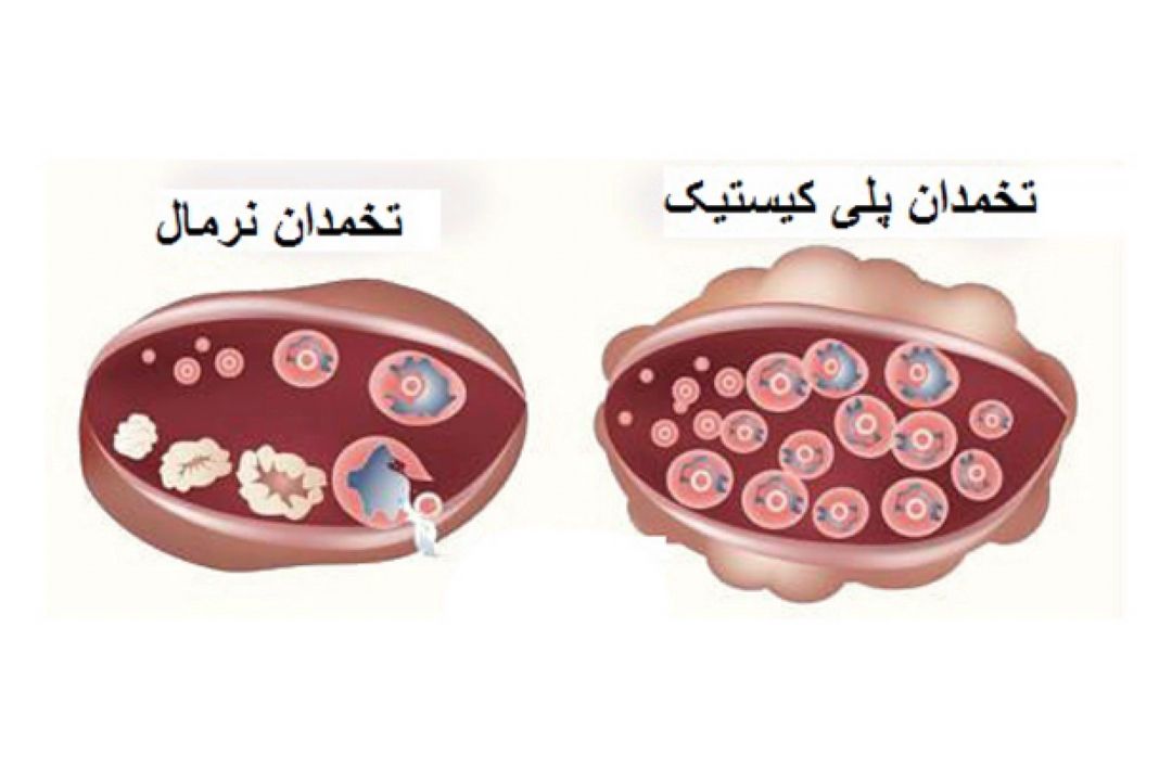 نبض 96/03/27