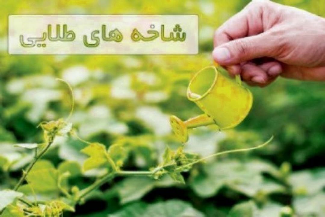 نگاهی به اقدامات فنی باغداران در فصل بهار