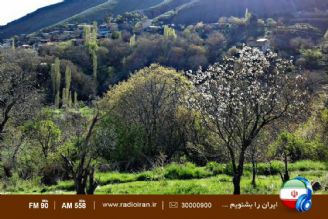 خشكسالی های اخیر باغداری در روستای قاضی كلایه را با مشكل مواجه كرده است