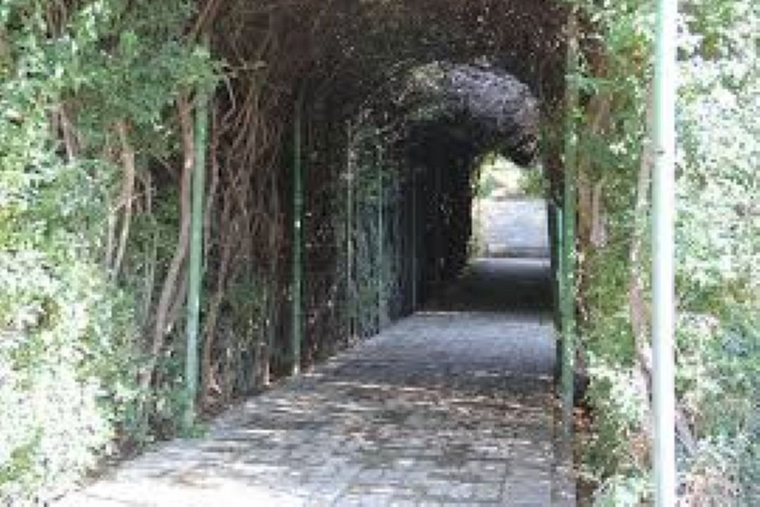 جوان گشت 
