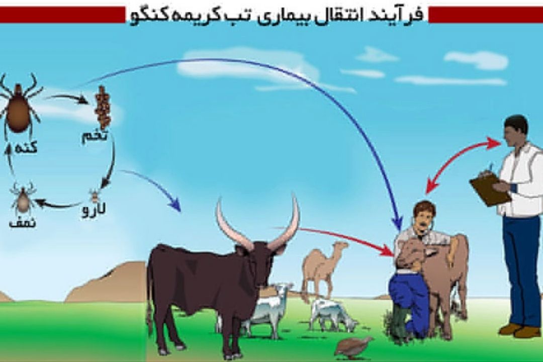 نبض در 96/04/07