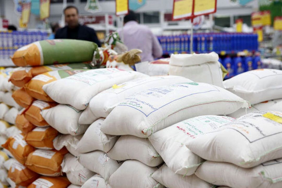 واردات برنج بعد از شهریور ممنوع می‌شود