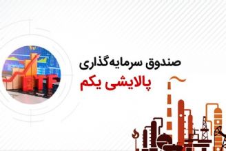 سقف خرید سهام دارا یكم و پالایش در مجموع 5 میلیون تومان است+فایل صوتی