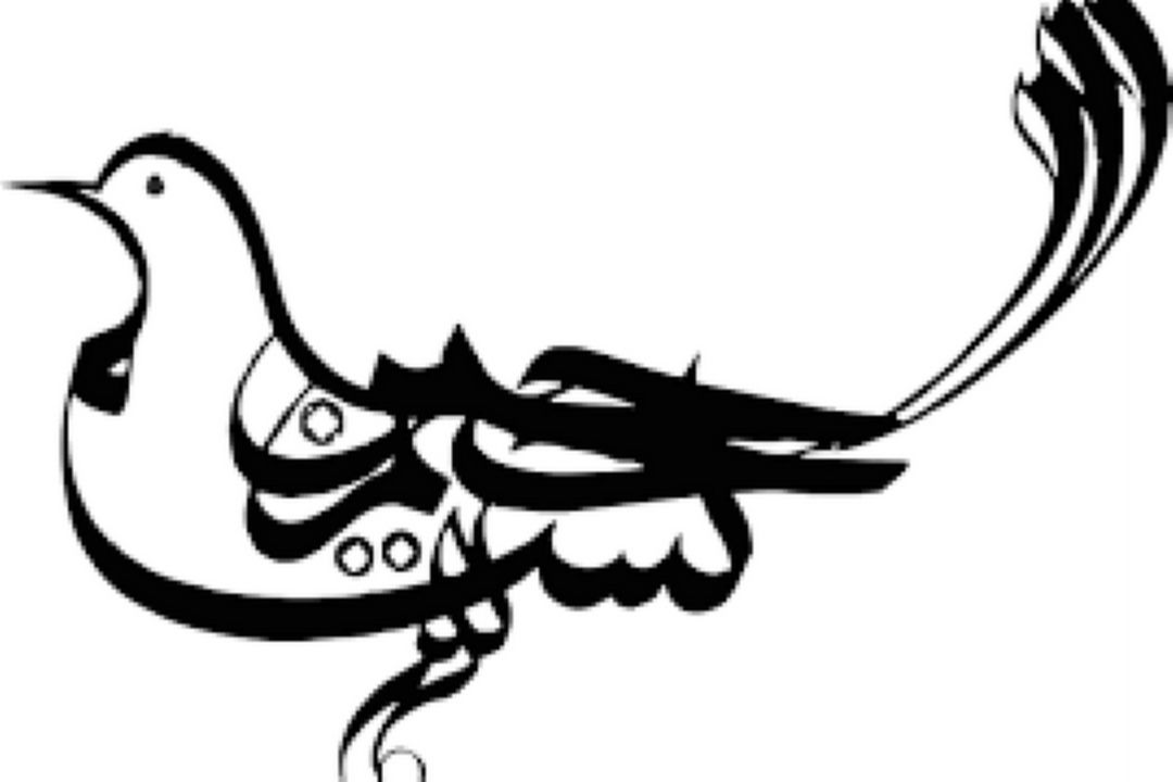 بسم الله نور 