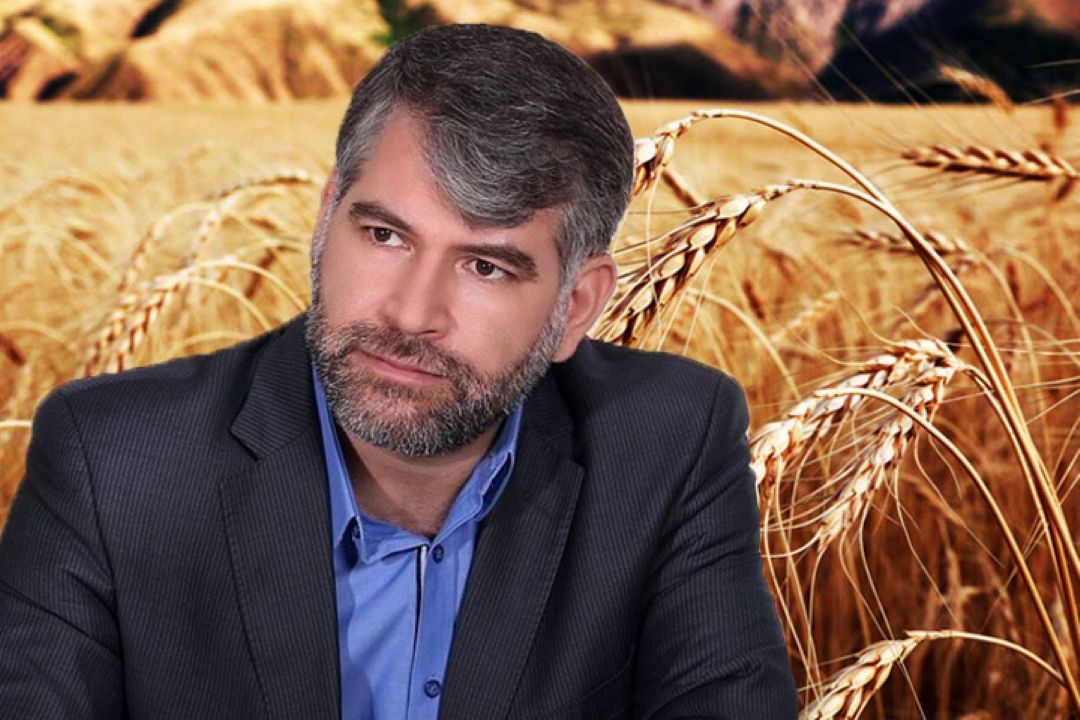  دولت، گندم را با قیمت واقعی از كشاورزان نمی خرد+فایل صوتی