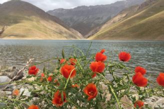 دهنار روستایی خوش آب و هوا  با مردمانی خونگرم