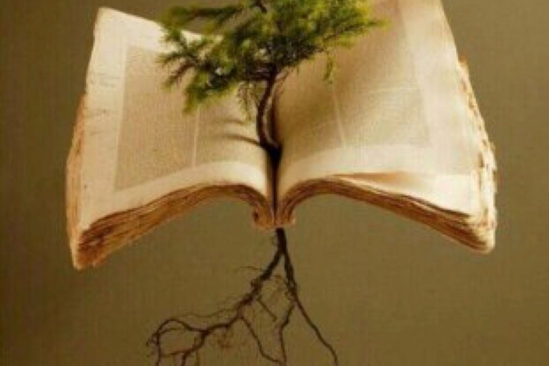  معرفی كتاب 