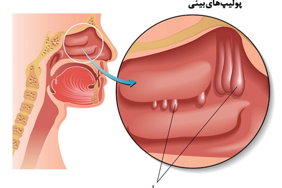 نبض