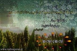 بررسی آیه 46 سوره ابراهیم در اشعار مولوی