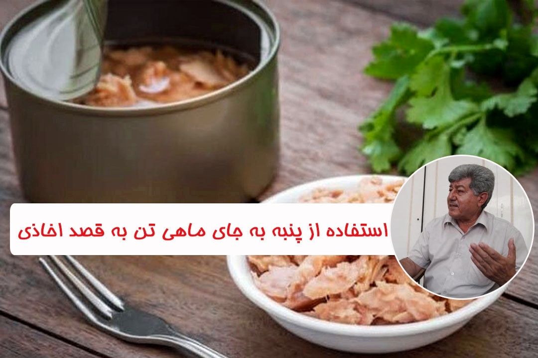 پنبه به جای ماهی؛ امكان ندارد+فایل صوتی