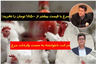 توزیع مرغ 18500 تومانی در اصناف سطح شهر/  تامین مرغ با واردات امكان ندارد