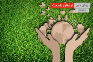 جایگاه كاكتوس در بین گیاهان زینتی