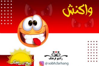 از جوانی كنید تا خودرو ملی در واكنش 