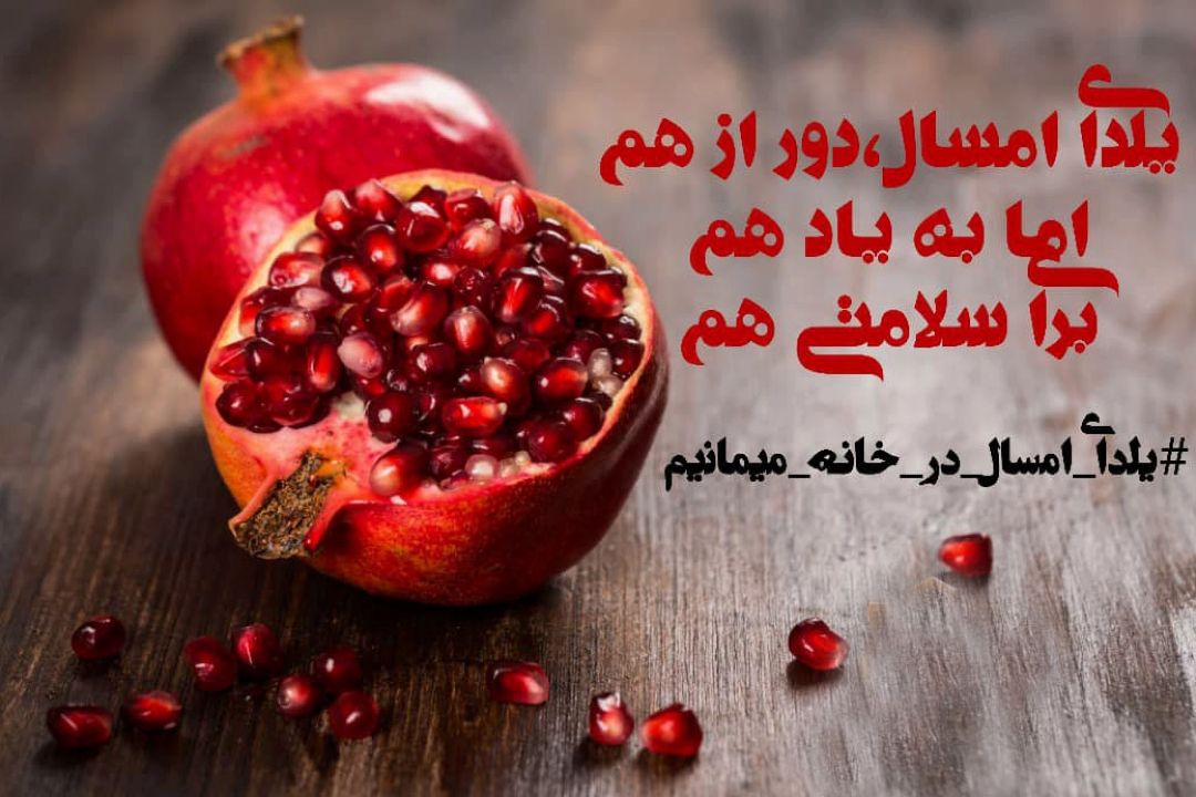 یلدای امسال دور از هم