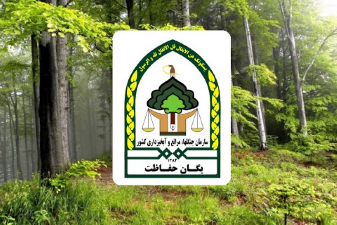 بهره برداری از جنگل ها ممنوع شده است