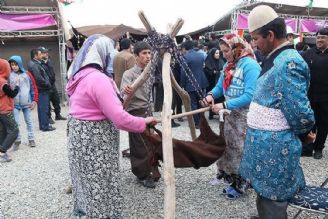 تاكید بر تنوع بخشی تولیدات روستایی