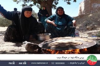  بررسی جایگاه بلوط  در «فرهنگ مردم»