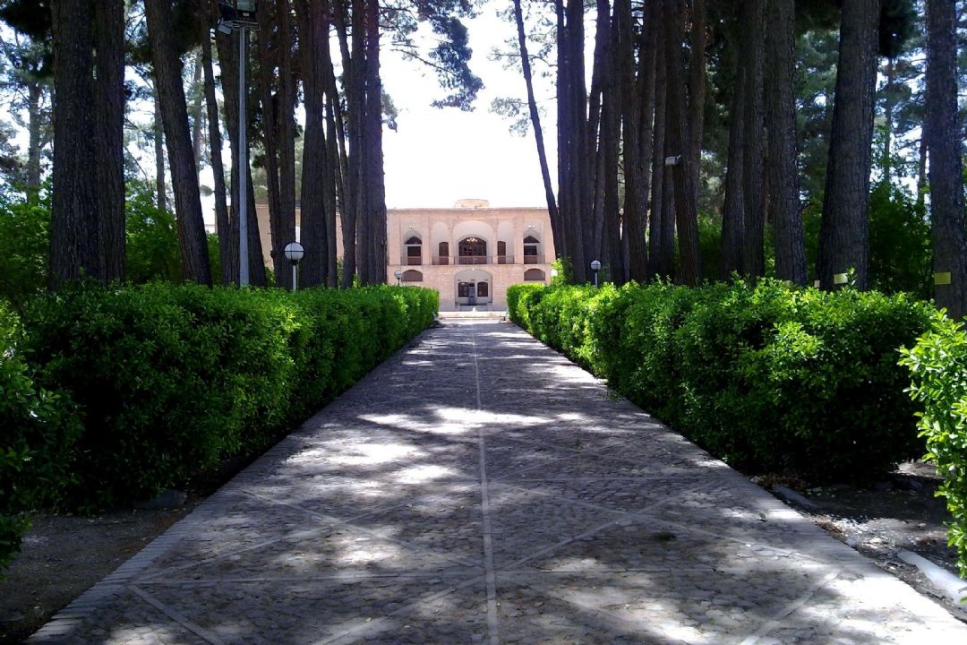 قیطان كشمكش 