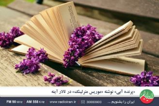 كتاب «پرنده آبی» روایتی فلسفی با قصه ای شیرین