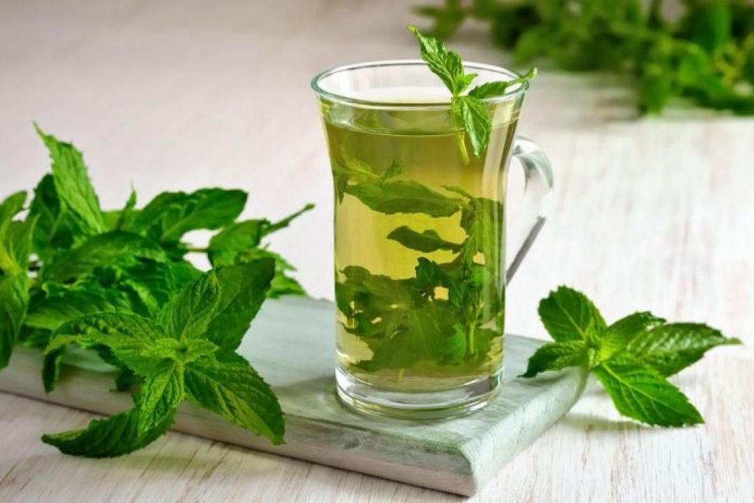 آشنایی با فواید و مضرات نعناع
