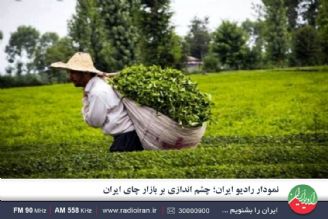 برگ سبز چای باید با قیمت مناسب از چایكار، خریداری شود