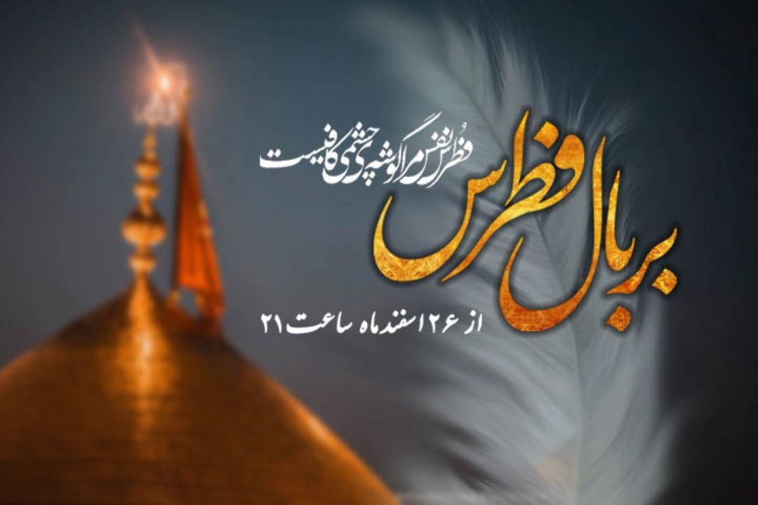  بر بال فطرس
