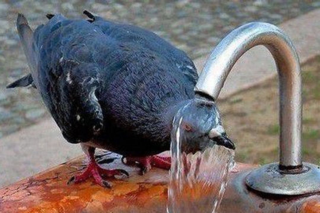 حرف بچه رو از راست بشنوید 