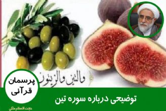 توضیحی درباره سوره مباركه تین