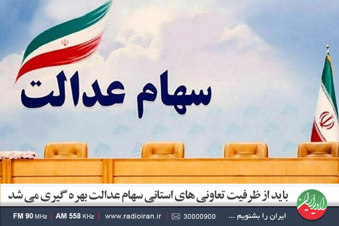 باید از ظرفیت تعاونی های استانی سهام عدالت بهره گیری می شد