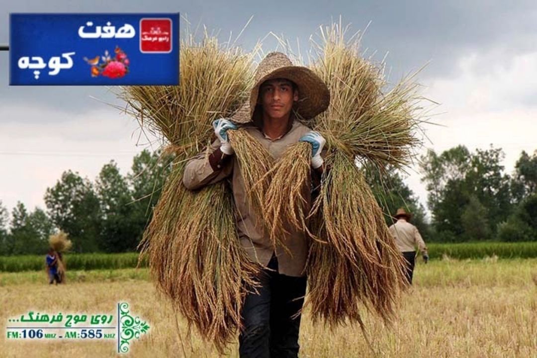 بررسی آوای كار در هفت كوچه رادیو فرهنگ در روز كار و كارگر 