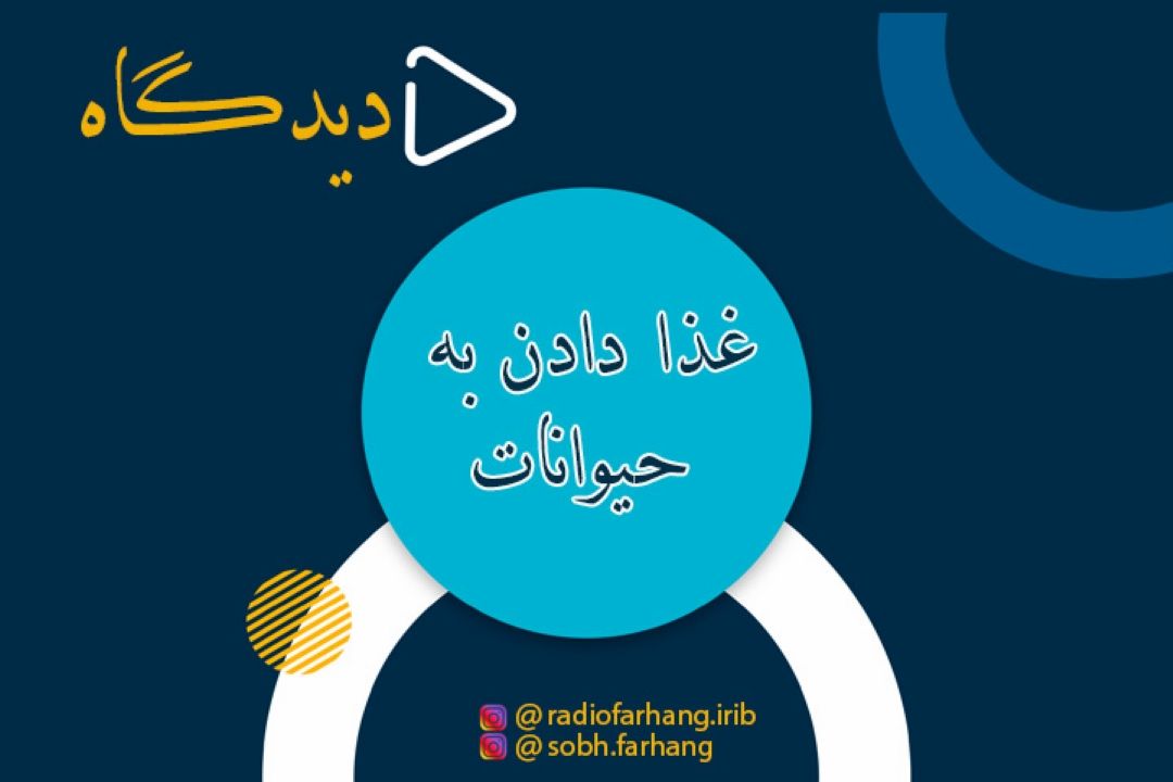 غذا دادن به حیوانات