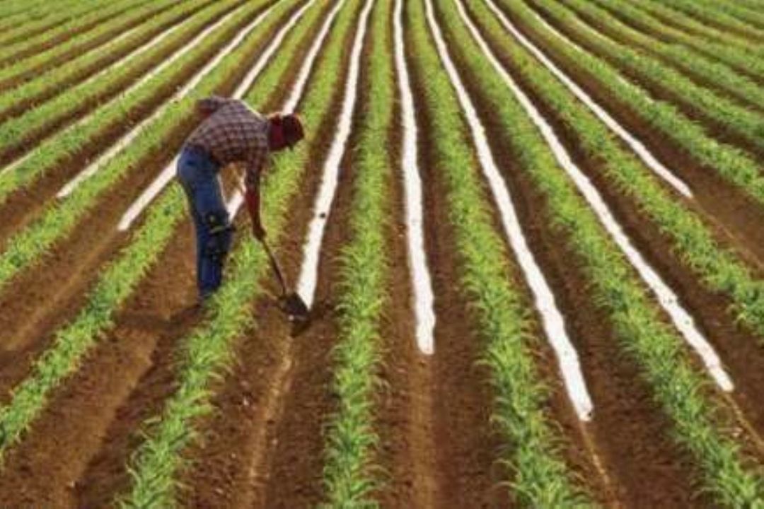 پرونده جوان ایرانی سلام 