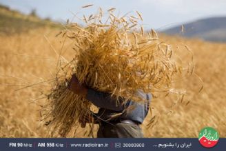 جشن های مشهور در منطقه سیستان و بلوچستان