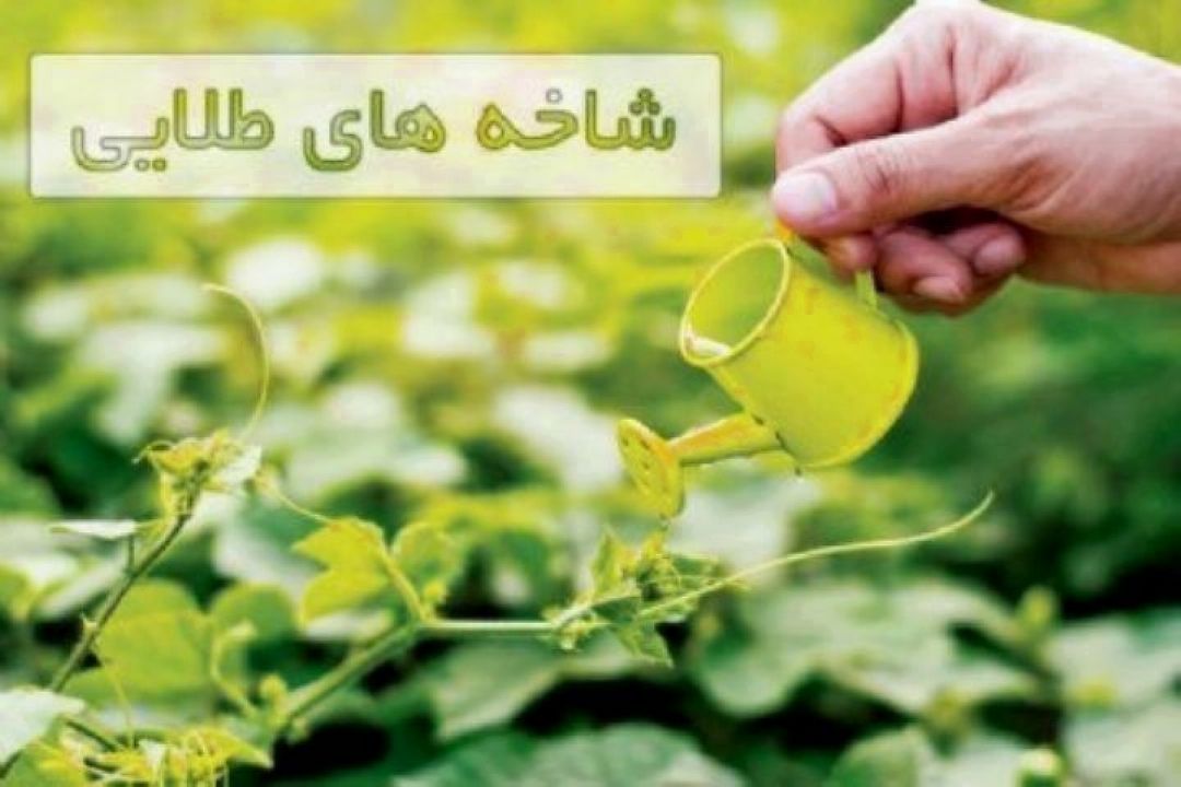 اقدامات جهادكشاورزی در سال 