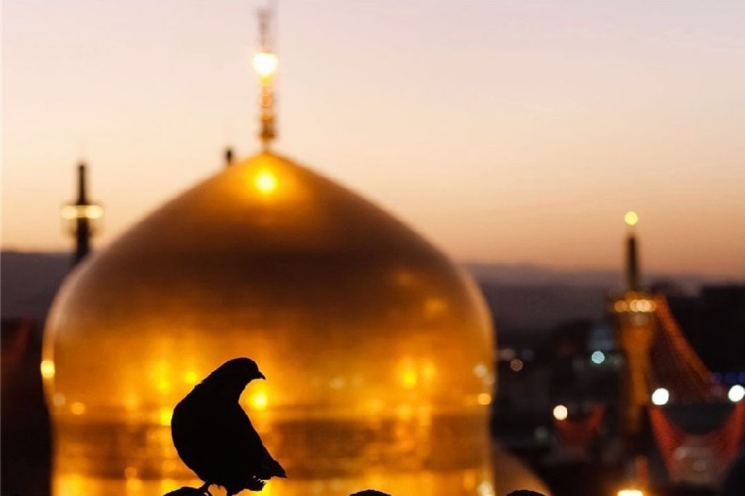 سیره عبادی امام رضا (ع) در سفر از مدینه به خراسان