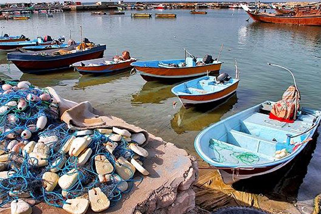 با صیادان شهرستان جویبار در رادیو تهران 