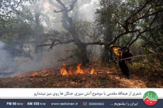 می سوزن درختای خونه تا یك روز آدما میان سیمان و بتن زنجیر و زندونی بشن 