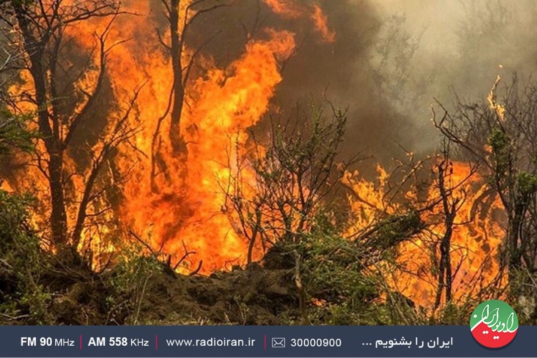  آخرین اخبار آتش سوزی جنگل های زاگرس در «سیاره آبی»