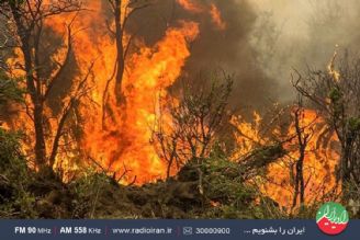  آخرین اخبار آتش سوزی جنگل های زاگرس در «سیاره آبی»