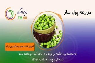 چه محصولاتی و چگونه می تواند برای ما درآمدزایی داشته باشد؟