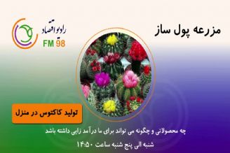 چه محصولاتی و چگونه می تواند برای ما درآمدزایی داشته باشد