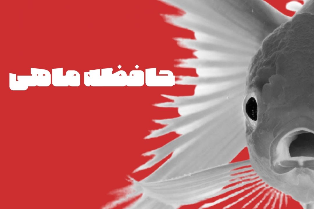 در مورد حافظۀ ماهی‌ها