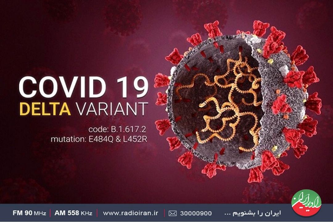 انتقال ویروس دلتا به افراد در چند ساعت اتفاق می افتد؟