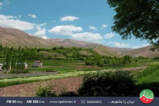 یونجه عمده ترین محصول روستای پاپچال دهستان پشت كوه