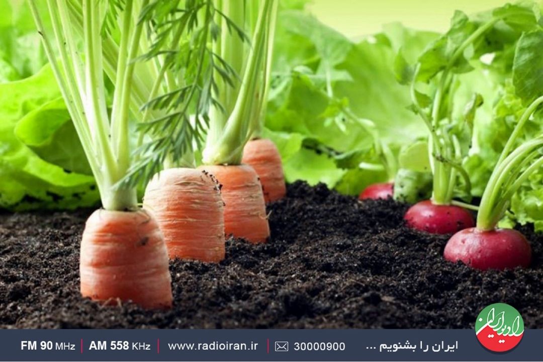 حذف مجوز عموما برای ورود بذر و نباتات بوده و محصولات تراریخته را شامل نمی شود