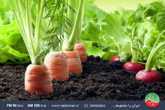 حذف مجوز عموما برای ورود بذر و نباتات بوده و محصولات تراریخته را شامل نمی شود