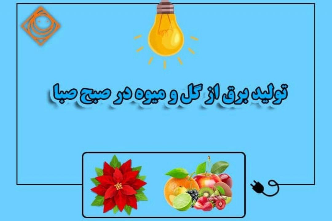 تولید برق از گل و میوه در 