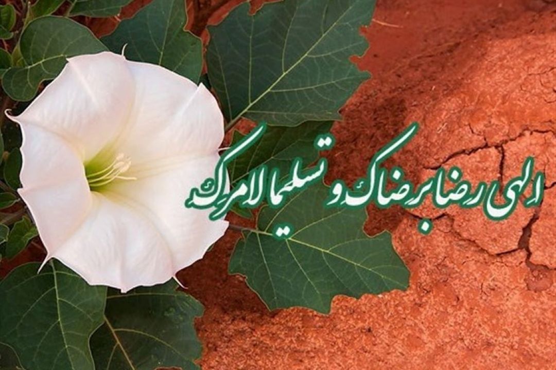 اطاعت و تسلیم پذیری در برابر خواسته خدا