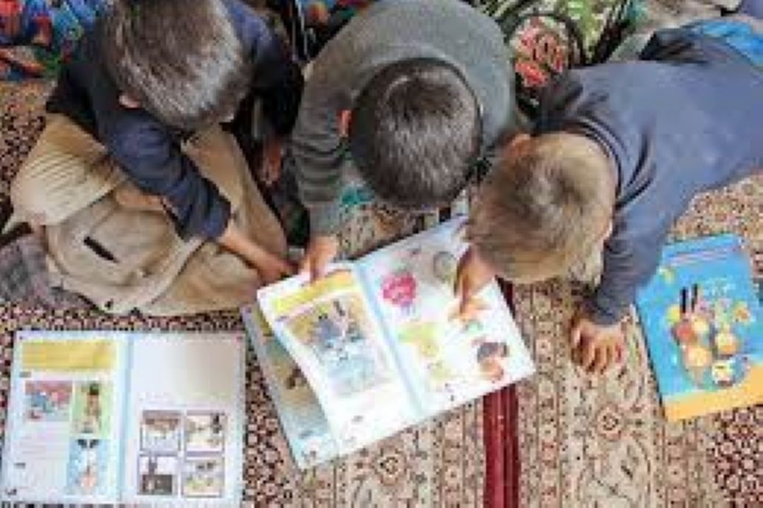 پیگیری